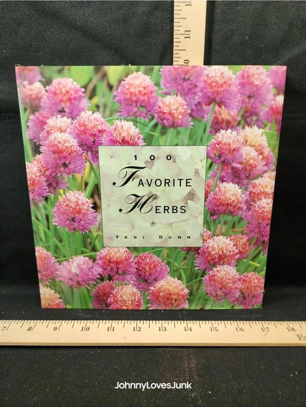100 Favorite Herbs Terri Dunn Complete Used